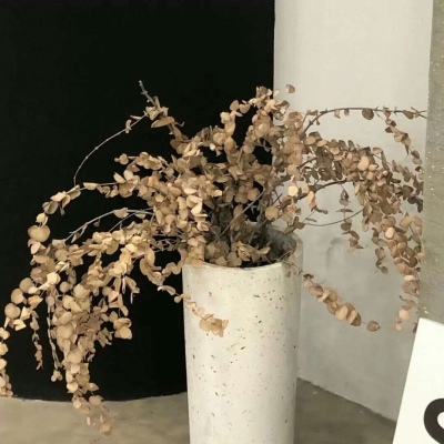 Furry插画氛围营造干货兽圈群